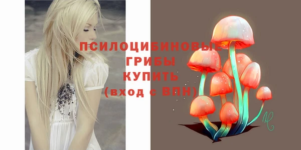 бутират Саяногорск