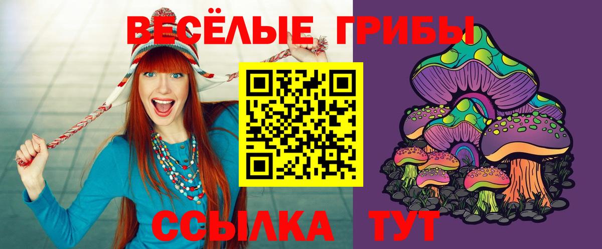 Галлюциногенные грибы ЛСД  Великие Луки  Псилоцибиновые грибы MAGIC MUSHROOMS 