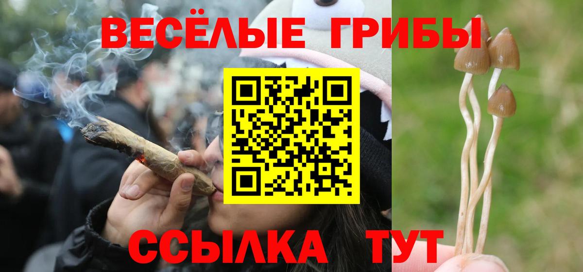 Псилоцибиновые грибы GOLDEN TEACHER  Вход с VPN  Псилоцибиновые грибы MAGIC MUSHROOMS  Великие Луки 